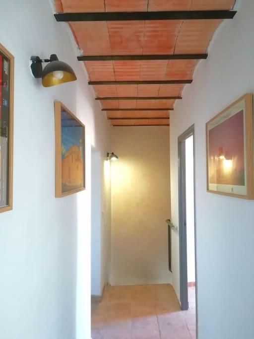 La Alhabega Villa Villena Exteriör bild